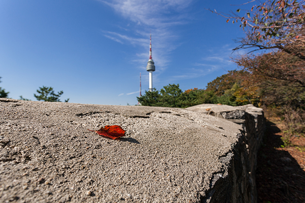 나무계단길 부근에서본 N서울타워
